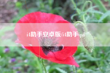 i4助手安卓版/i4助手ipa