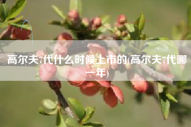 高尔夫7代什么时候上市的(高尔夫7代哪一年)