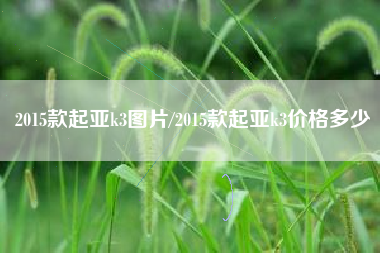 2015款起亚k3图片/2015款起亚k3价格多少