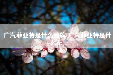 广汽菲亚特是什么品牌(广汽菲亚特是什么车) 广汽菲亚特是什么品牌(广汽菲亚特是什么车)