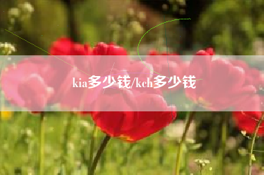 kia多少钱/kch多少钱