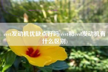 cvvt发动机优缺点好吗(cvvt和cvvl发动机有什么区别)