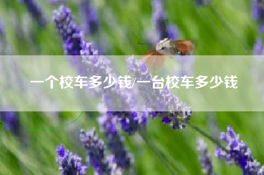 一个校车多少钱/一台校车多少钱 一个校车多少钱/一台校车多少钱
