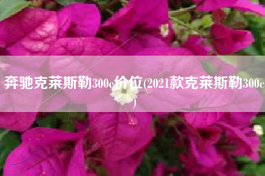 奔驰克莱斯勒300c价位(2021款克莱斯勒300c)