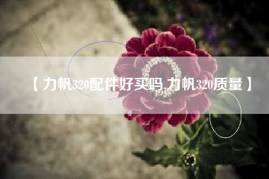 【力帆320配件好买吗,力帆320质量】
