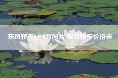 东风轿车5一8万图片/东风轿车价格表