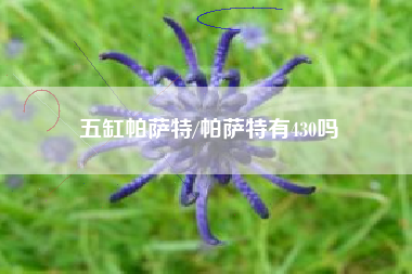 五缸帕萨特/帕萨特有430吗