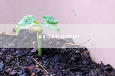 joint(joint venture)