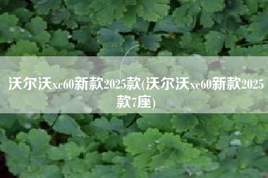 沃尔沃xc60新款2025款(沃尔沃xc60新款2025款7座)