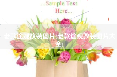 老款途观改装图片(老款途观改装图片大全)