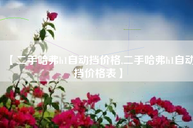 【二手哈弗h1自动挡价格,二手哈弗h1自动挡价格表】