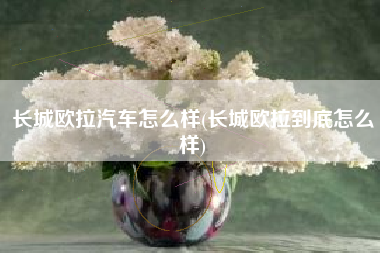 长城欧拉汽车怎么样(长城欧拉到底怎么样)
