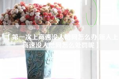 【第一次上高速没人陪同怎么办,新人上高速没人陪同怎么处罚呢】