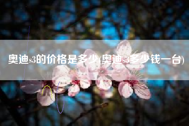 奥迪s3的价格是多少(奥迪s3多少钱一台)