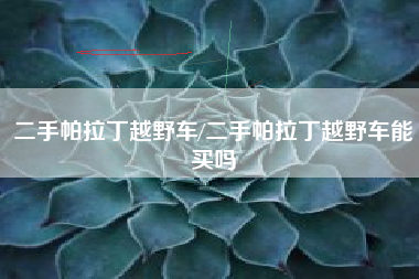 二手帕拉丁越野车/二手帕拉丁越野车能买吗