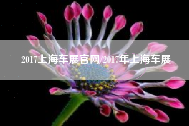 2017上海车展官网/2017年上海车展