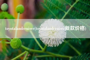 toyotalandcruiser(toyotalandcruiser新款价格) toyotalandcruiser(toyotalandcruiser新款价格)