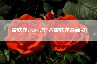 雪铁龙2020suv车型(雪铁龙最新款)