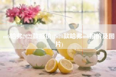 m6哈弗2022款报价(2o21款哈弗m6报价及图片) m6哈弗2022款报价(2o21款哈弗m6报价及图片)