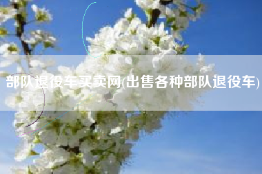 部队退役车买卖网(出售各种部队退役车)