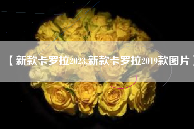 【新款卡罗拉2023,新款卡罗拉2019款图片】