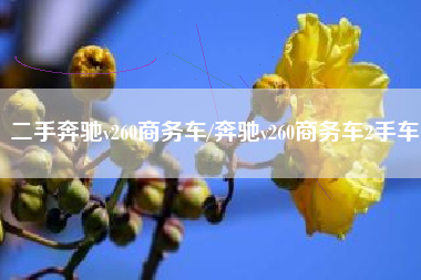 二手奔驰v260商务车/奔驰v260商务车2手车