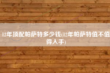 12年顶配帕萨特多少钱(12年帕萨特值不值得入手)