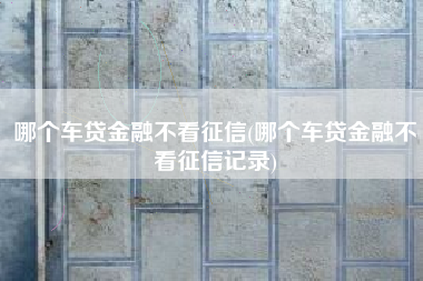 哪个车贷金融不看征信(哪个车贷金融不看征信记录)