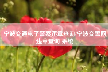 宁波交通电子警察违章查询/宁波交警网违章查询 系统