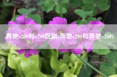奔驰e200和e260区别(奔驰e200和奔驰e260) 奔驰e200和e260区别(奔驰e200和奔驰e260)