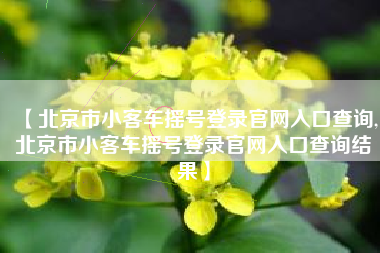 【北京市小客车摇号登录官网入口查询,北京市小客车摇号登录官网入口查询结果】