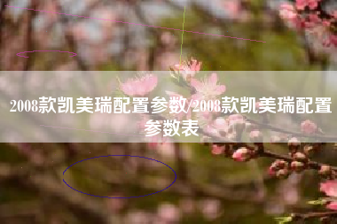 2008款凯美瑞配置参数/2008款凯美瑞配置参数表 2008款凯美瑞配置参数/2008款凯美瑞配置参数表