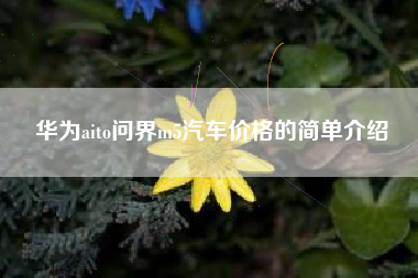 华为aito问界m5汽车价格的简单介绍