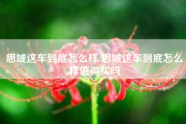 思域这车到底怎么样/思域这车到底怎么样值得买吗 思域这车到底怎么样/思域这车到底怎么样值得买吗