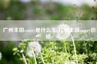 广州丰田camry是什么车(广州丰田camry价格)
