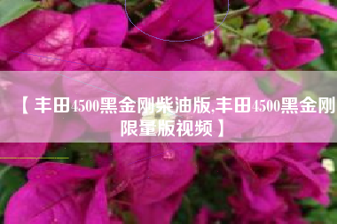 【丰田4500黑金刚柴油版,丰田4500黑金刚限量版视频】