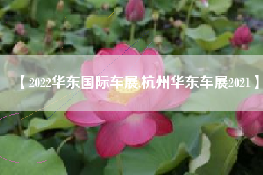 【2022华东国际车展,杭州华东车展2021】