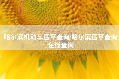 哈尔滨机动车违章查询/哈尔滨违章查询在线查询 哈尔滨机动车违章查询/哈尔滨违章查询在线查询