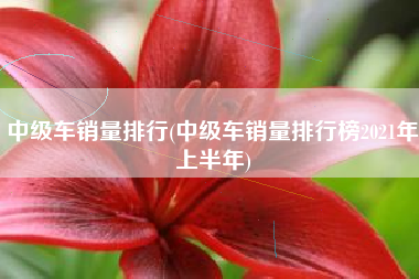 中级车销量排行(中级车销量排行榜2021年上半年) 中级车销量排行(中级车销量排行榜2021年上半年)