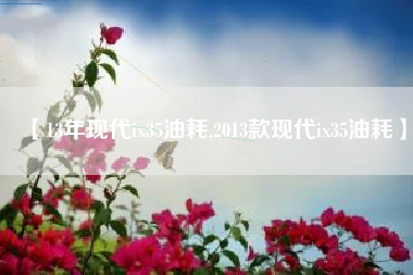 【13年现代ix35油耗,2013款现代ix35油耗】