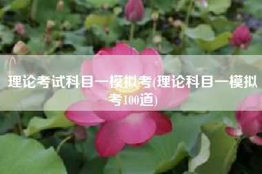 理论考试科目一模拟考(理论科目一模拟考100道)