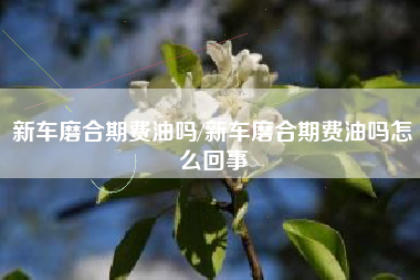 新车磨合期费油吗/新车磨合期费油吗怎么回事 新车磨合期费油吗/新车磨合期费油吗怎么回事