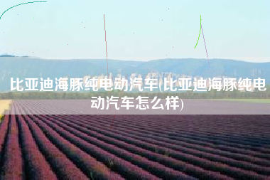 比亚迪海豚纯电动汽车(比亚迪海豚纯电动汽车怎么样)