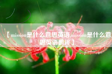 【mission是什么意思英语,mission是什么意思英语翻译】