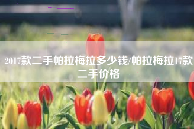 2017款二手帕拉梅拉多少钱/帕拉梅拉17款二手价格 2017款二手帕拉梅拉多少钱/帕拉梅拉17款二手价格