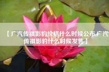 【广汽传祺影豹价格什么时候公布,广汽传祺影豹什么时候发售】