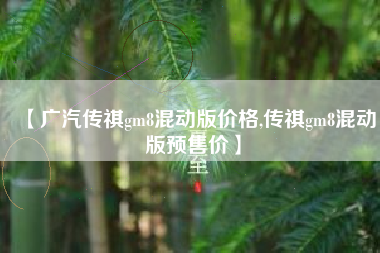 【广汽传祺gm8混动版价格,传祺gm8混动版预售价】