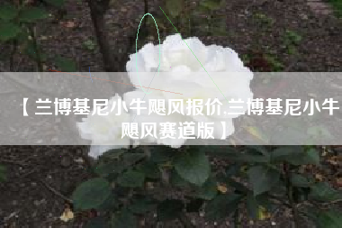 【兰博基尼小牛飓风报价,兰博基尼小牛飓风赛道版】 【兰博基尼小牛飓风报价,兰博基尼小牛飓风赛道版】