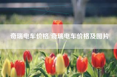 奇瑞电车价格/奇瑞电车价格及图片
