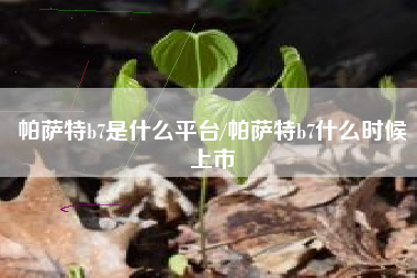 帕萨特b7是什么平台/帕萨特b7什么时候上市